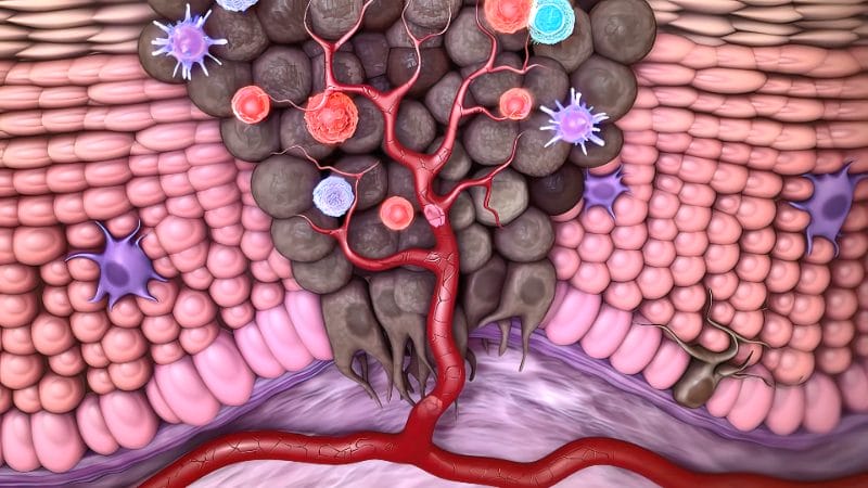 Propiedades antitumorales Propiedades antitumorales